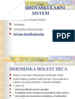 Kardiovaskularni Sistem: Ishemijska Srčana Bolest Aritmije Arterijska Hipertenzija