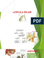 Anatomia de Vias Biliares