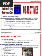 First Aid Basics and Emergency Care | PDF | Burn | First Aid