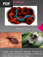 Doenca de Chagas