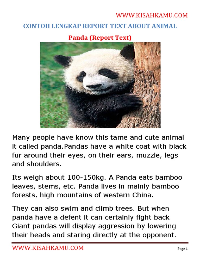 Contoh Report Text | PDF | Lion | Tiger