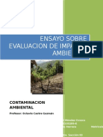 Ensayo Sobre Evaluacion de Impacto Ambiental