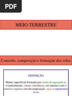 Meio Terrestre