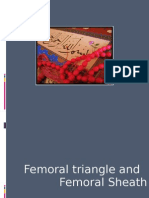 Femoral Sheath and Femoral Triangle