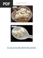 Download KEFIR by sin0028 SN2684243 doc pdf