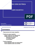 Campo Magnetico