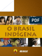 Brasil Indígena