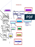 Phylogenetic Tree