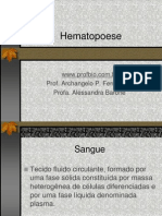HEMATOPOESE.pdf