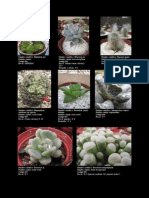 Catalogo Cactus Del Pacifico-2014-04-01 PDF