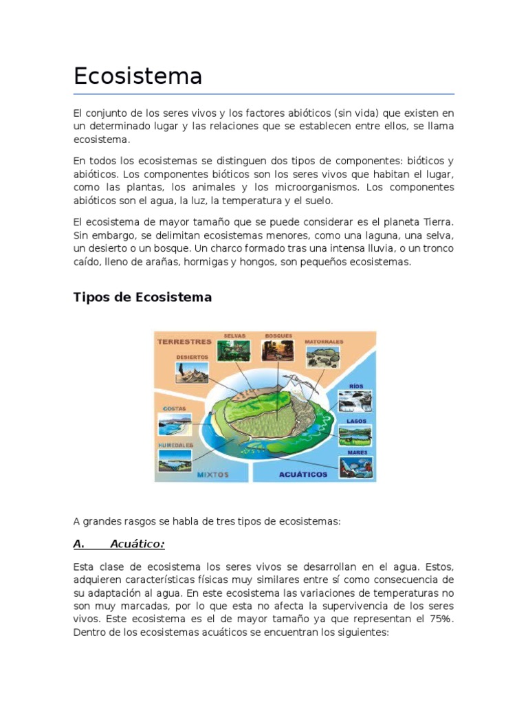 Tipos y características de ecosistemas | PDF | Ecosistema | Selva