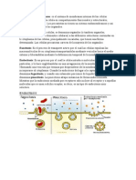 Diccionario de Biología General