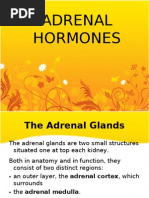 Download Adrenal Hormones by decebelle alaba SN26844896 doc pdf