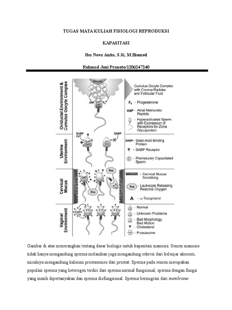 Xavfli usuldan jinsiy aloqa