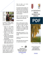 Plantaciones arboles.pdf