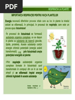 Respiratia Plantelor 2015