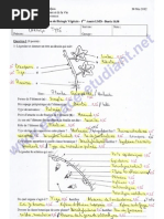 Compte Rendu Du Tp De Biologie Vegetale Bis Feuille Biologie