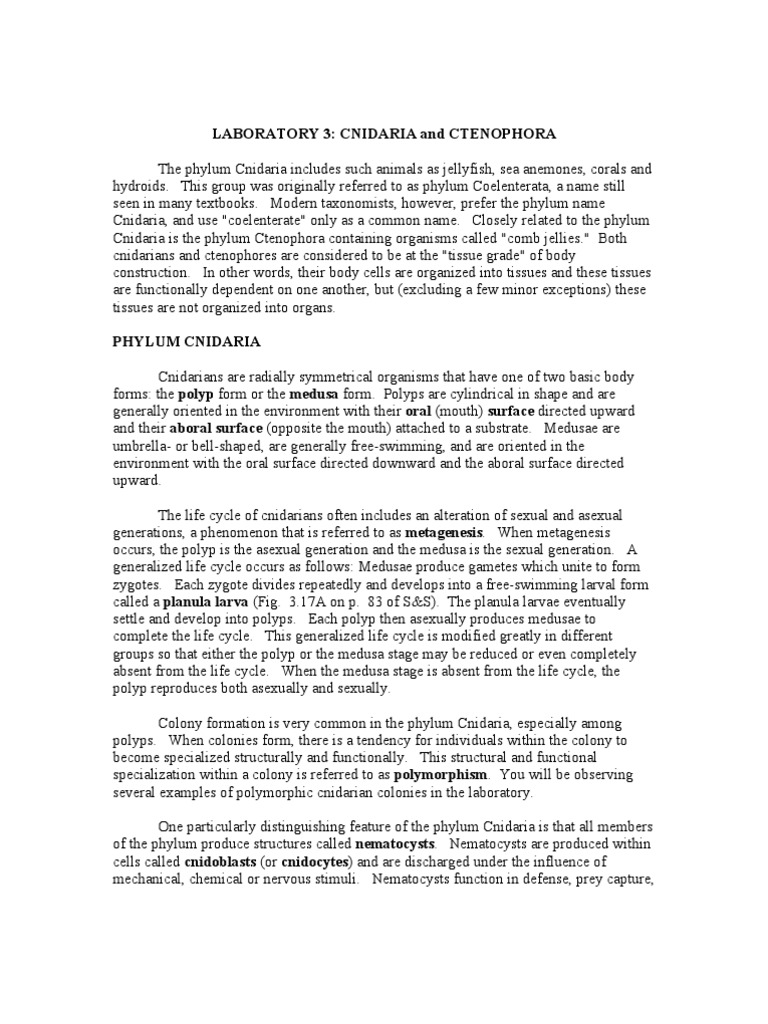 Laboratory 3 Cnidaria and Ctenophora | PDF | Coral | Venomous Animals