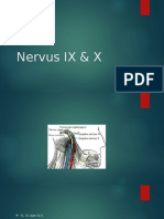 Nervus IX & X 