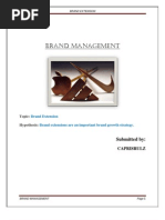Download Brand Management by caprisrulz SN26847981 doc pdf