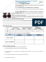 Evaluación de Recuperación 4º