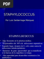 Download Staphylococcus by Luis Alberto Saldarriaga Mrquez SN26848511 doc pdf