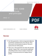 OWG007101 IGWB Hardware and Principle ISSUE 1.0