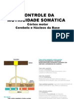 Controle Da Motricidade Voluntária