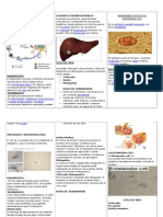 DIAGNOSTICO Triptico