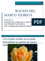 marco teorico.ppt