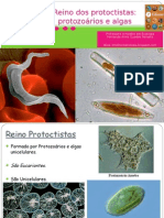 Capítulo 7 - Reino Dos Protoctistas- Protozoários e Algas - - 7º Ano - Barros e Paulino