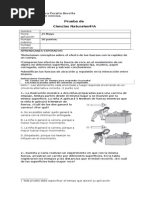 Prueba de Ciencias Cuarto Basico