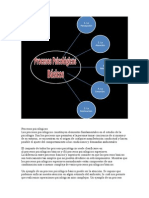 Procesos Psicológicos