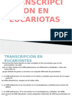 Regulacion de La Transcipcion en Eucariontes (2)