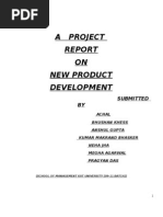 project report on shoes