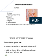 Enterobacterii Oportuniste PDF