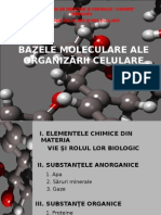 bazele moleculare