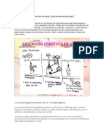 Preguntas 8 y 9 Sem Fisio