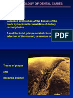 Microbiology of Caries.ppt