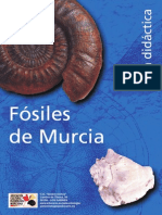 Guí Didáctica de Los Fósiles de Murcia