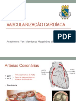 Capacitação Vascularização