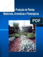 Modelo - Rede de Produção de Plantas Medicinais, Aromáticas e Fitoterápicos