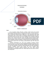 Tinjauan Pustaka Katarak Fix