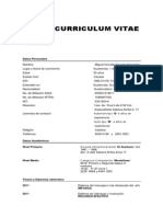 Modelo Curriculum Vitae 