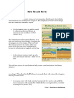 How Fossils Form
