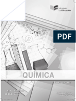 Becug Quimica1 PDF