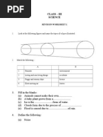 Revision Sheet Science