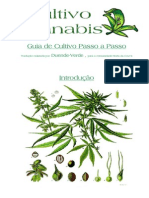 Guia de Cultivo Passo a Passo sem semente