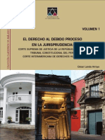 Derecho al Debido Proceso - AMAG Volumen 1.pdf