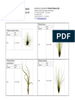 WWW - Plantasaereas.cl Catalogo